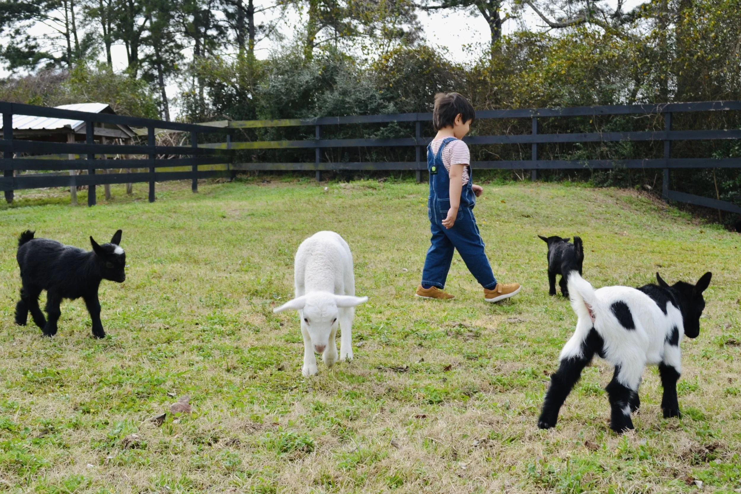 Beneficios familiares de compartir en un rancho como Cantona Ranch